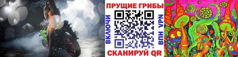 Галлюциногенные грибы Psilocybine cubensis  где продают наркотики  МЕГА tor  Сыктывкар 
