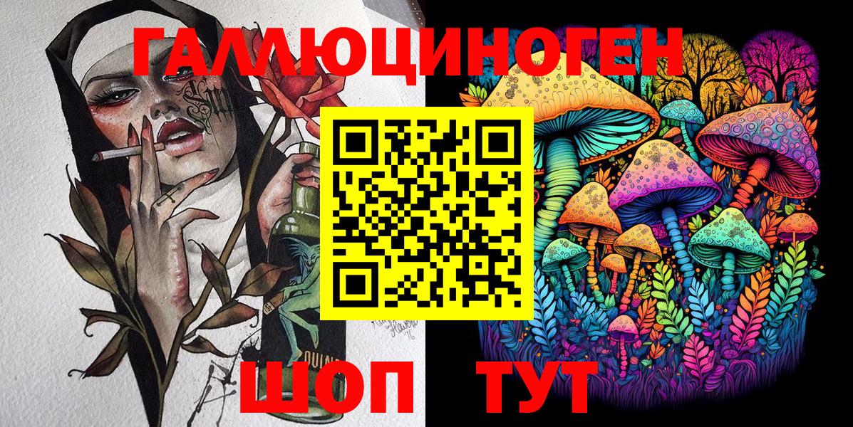 Галлюциногенные грибы Psilocybe Сыктывкар