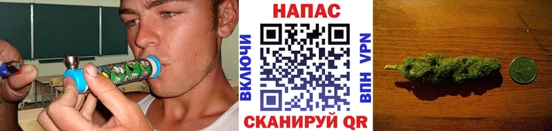 Бошки марихуана марихуана Сыктывкар